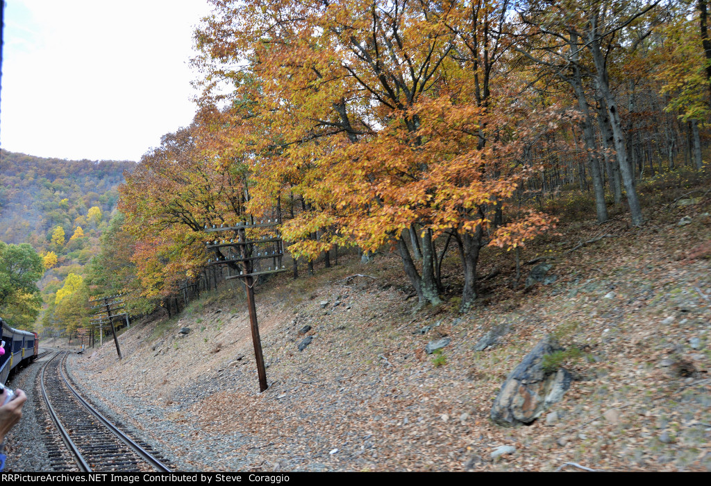  Old Telephone Poles Still Standing