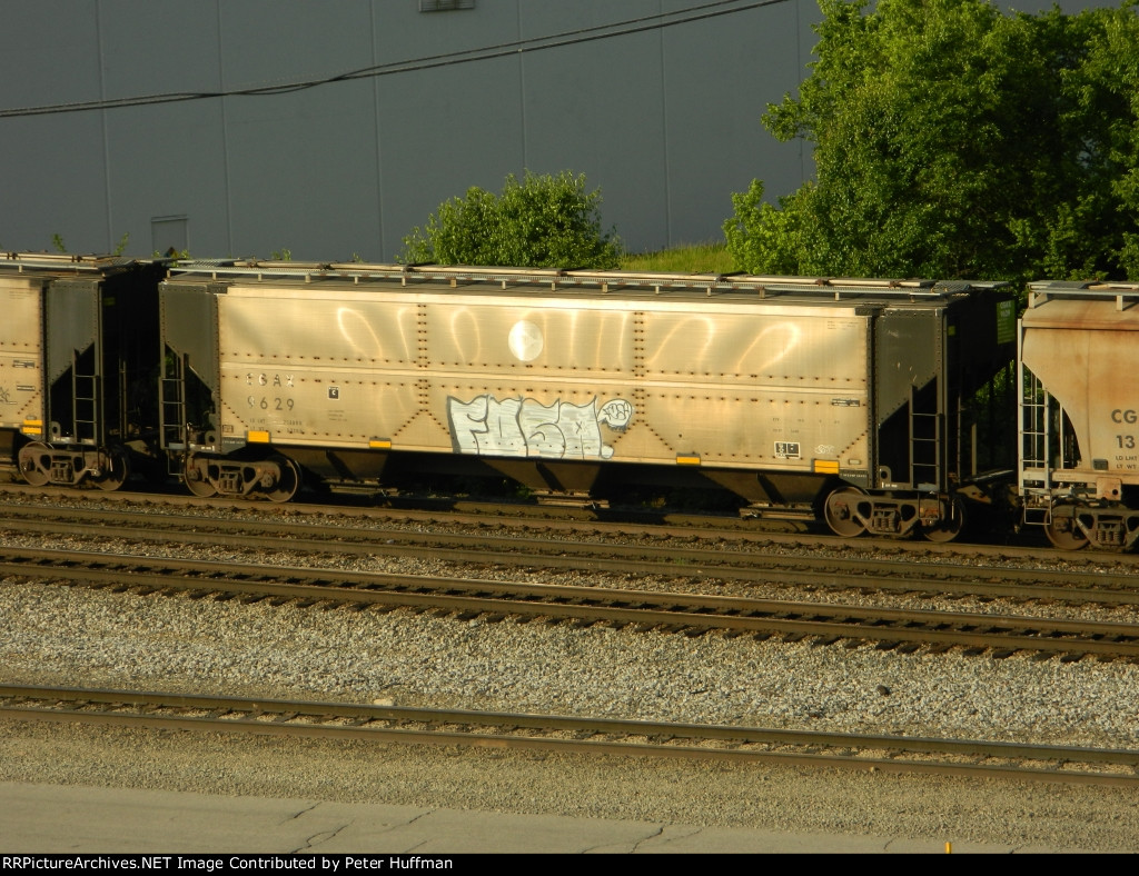 CGAX 9629