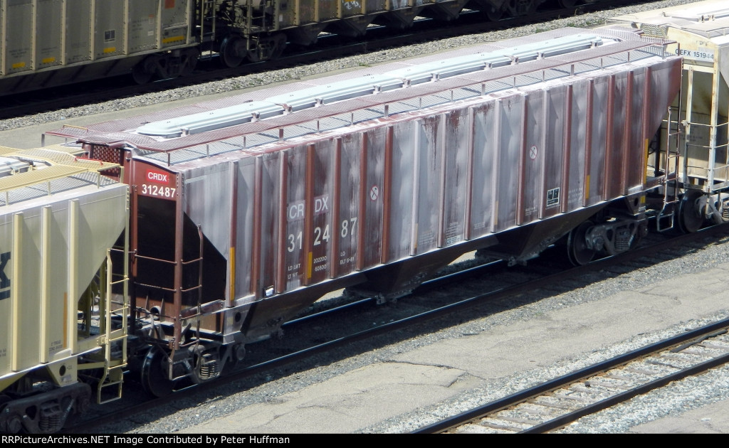 CRDX 312487