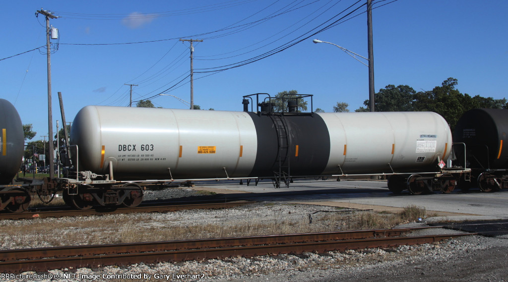 DBCX 603 - BASF Corp