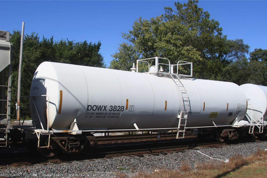 DOWX 3828 - Dow Chemical Co