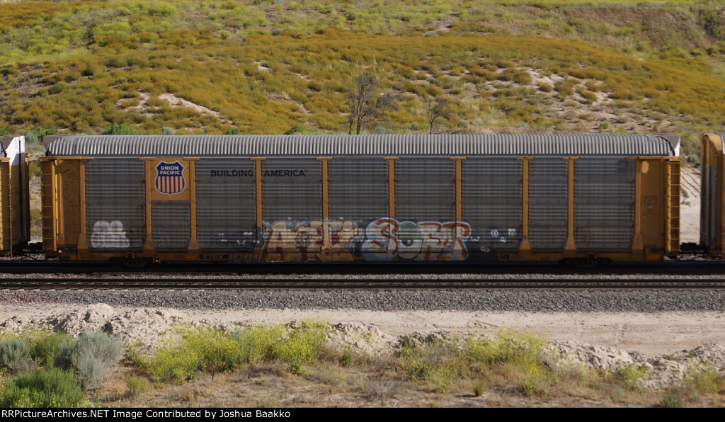 TTGX 853655
