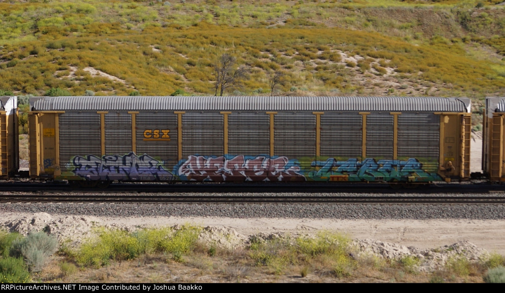 TTGX 952162