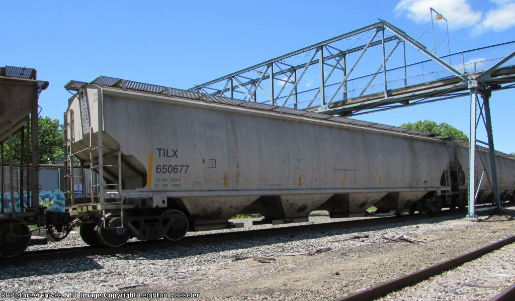 TILX 650677