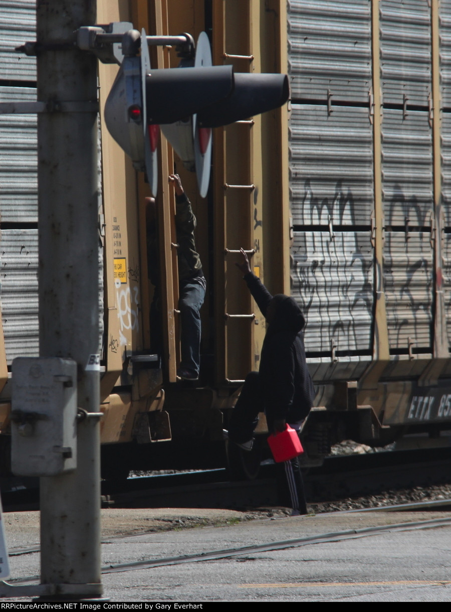 Pedestrian No-No Closeup