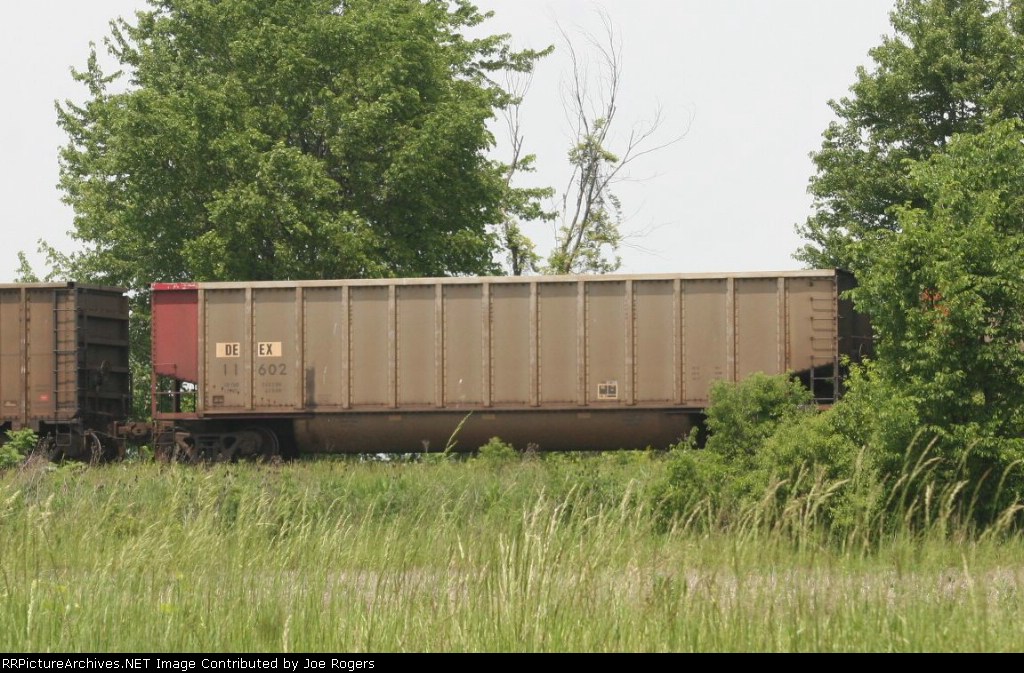 DEEX 11602