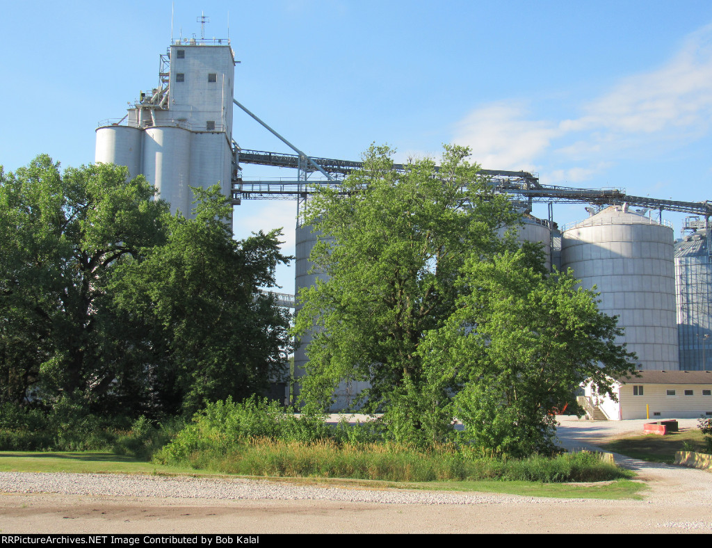 Heyworth Il. Grain Elevator
