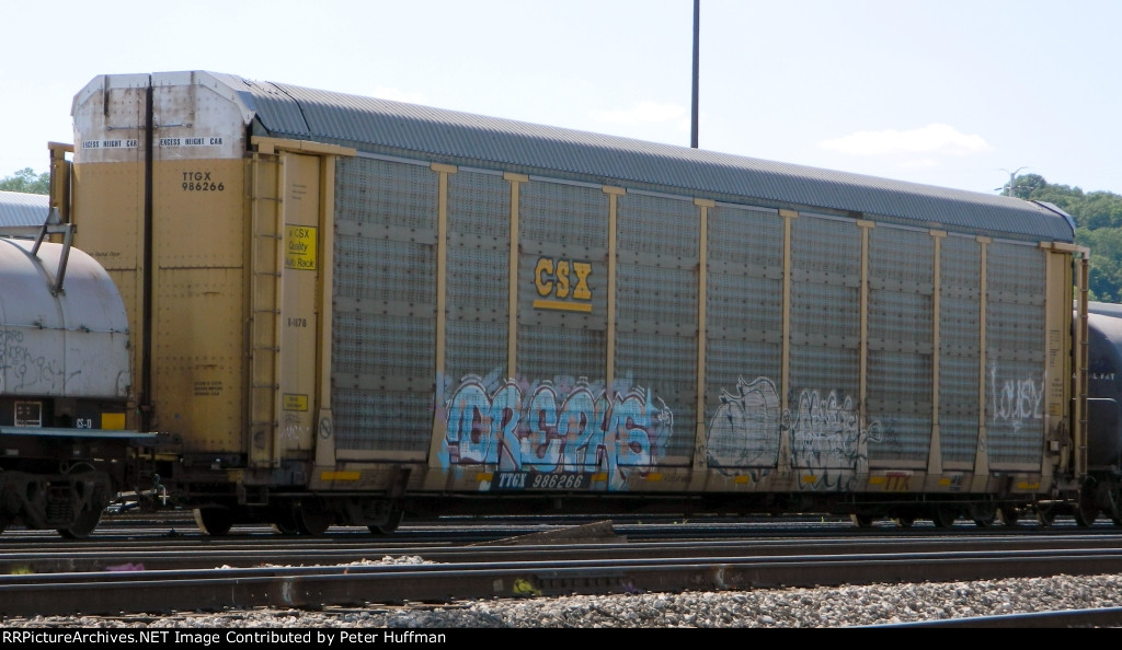 TTGX 986266
