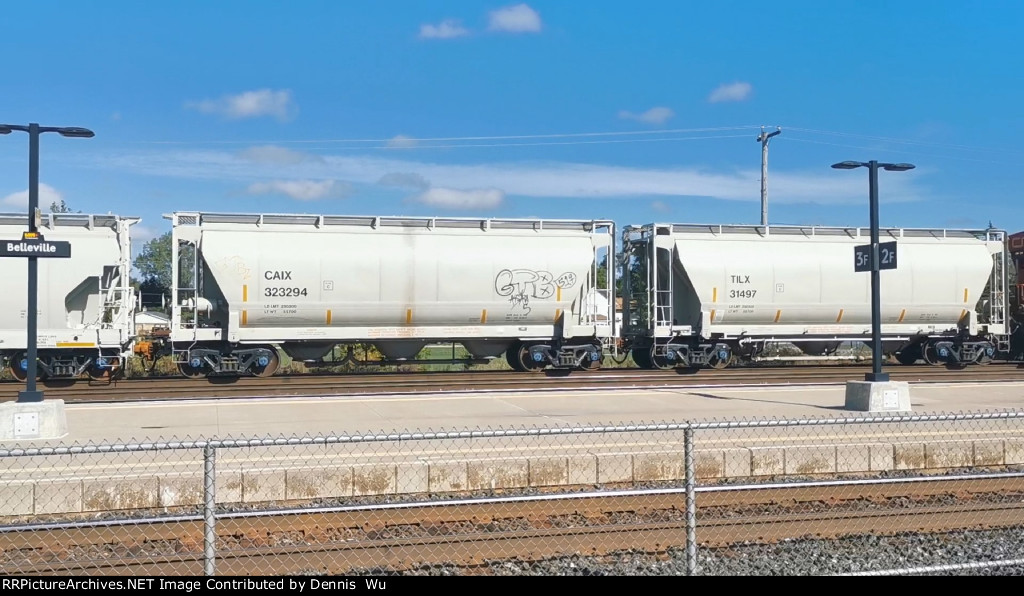 CAIX 323294 and TILX 31497