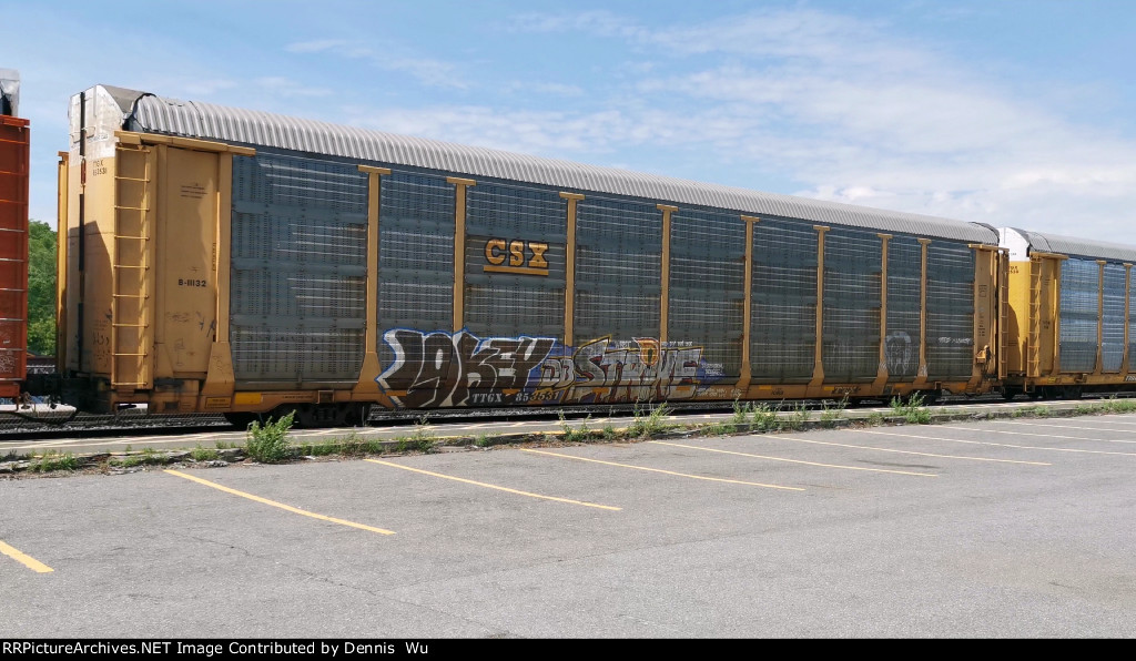 CSX B11132 (Body) TTGX 853531 (Flat)