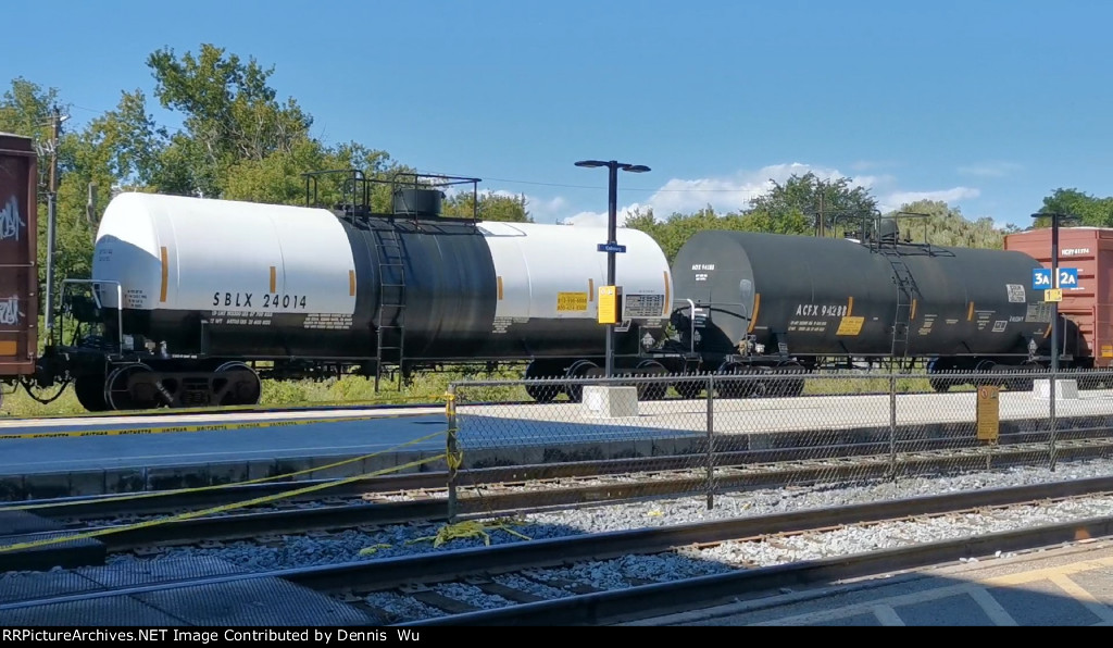 SBLX 24014 and ACFX 94288