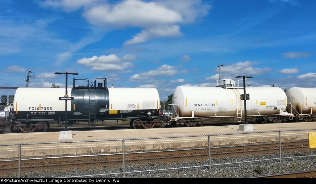 TCIX 7066 and OLNX 718014