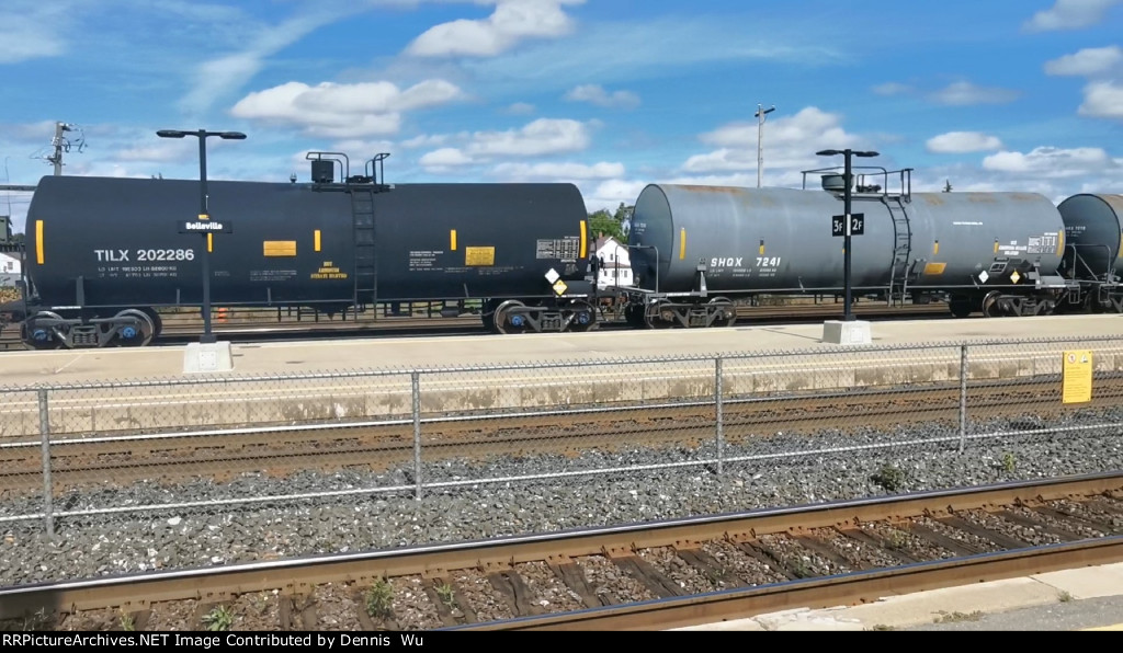 TILX 202286 and SHQX 7241