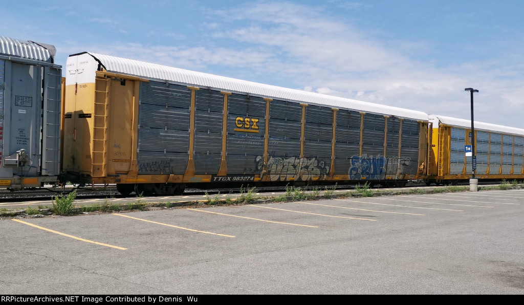 TTGX 983274