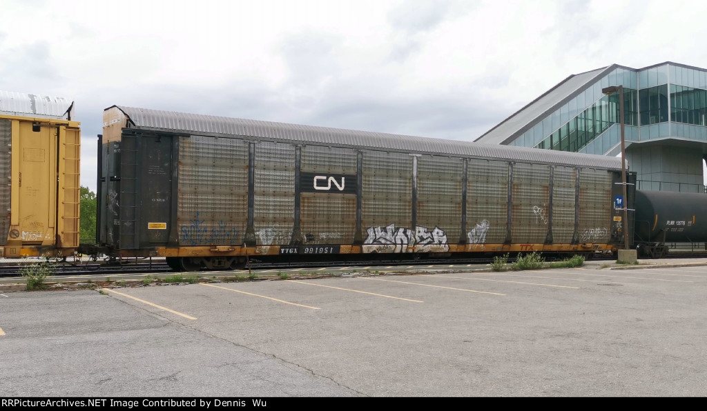 TTGX 991951