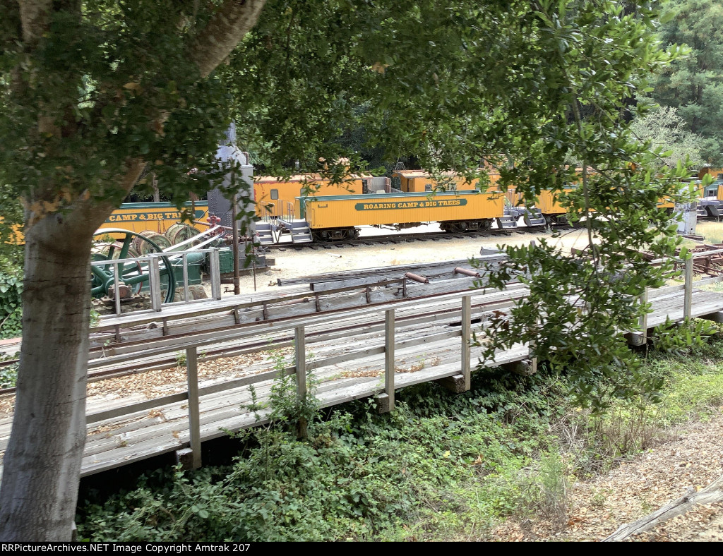 Santa Cruz, Big Trees and Pacific Uncovered Passenger Car 110 Resides