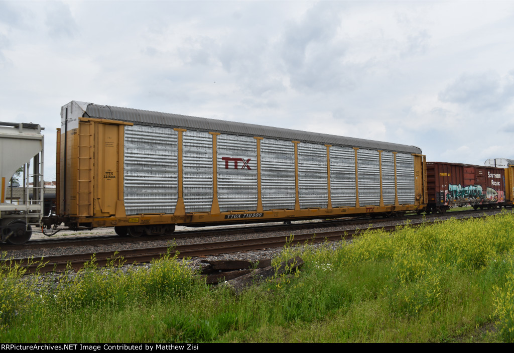 SP 246437 TTGX 710909