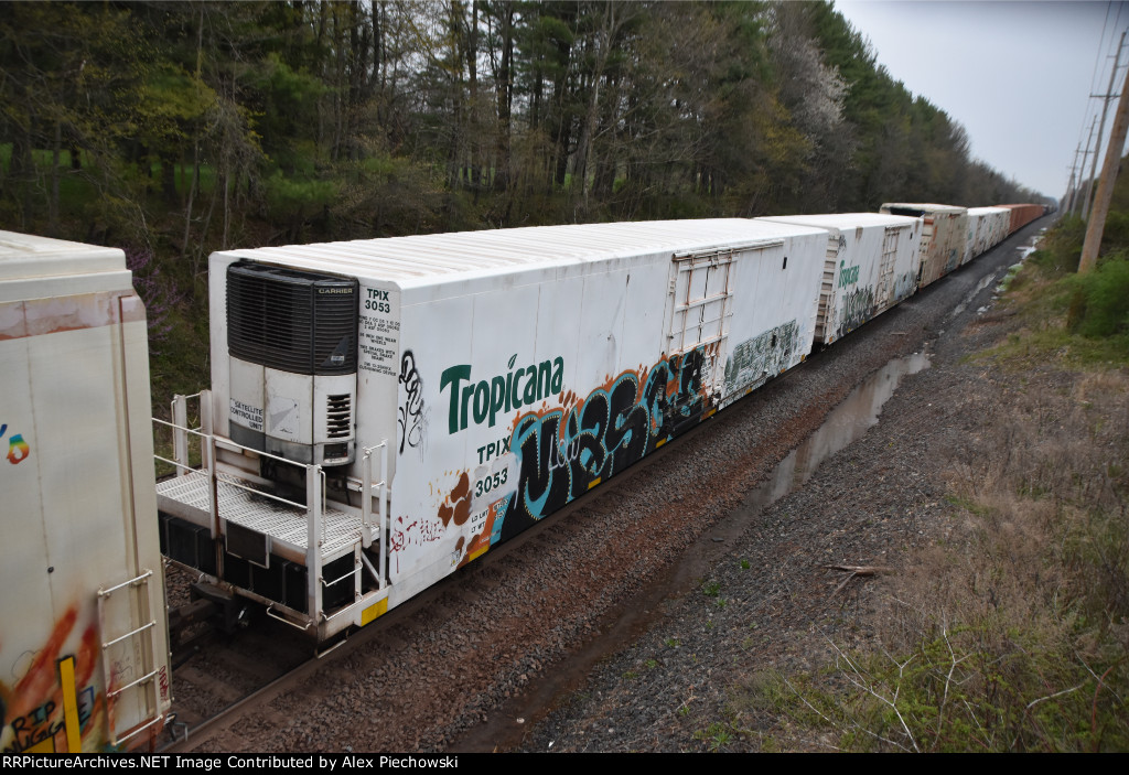 TPIX 3053