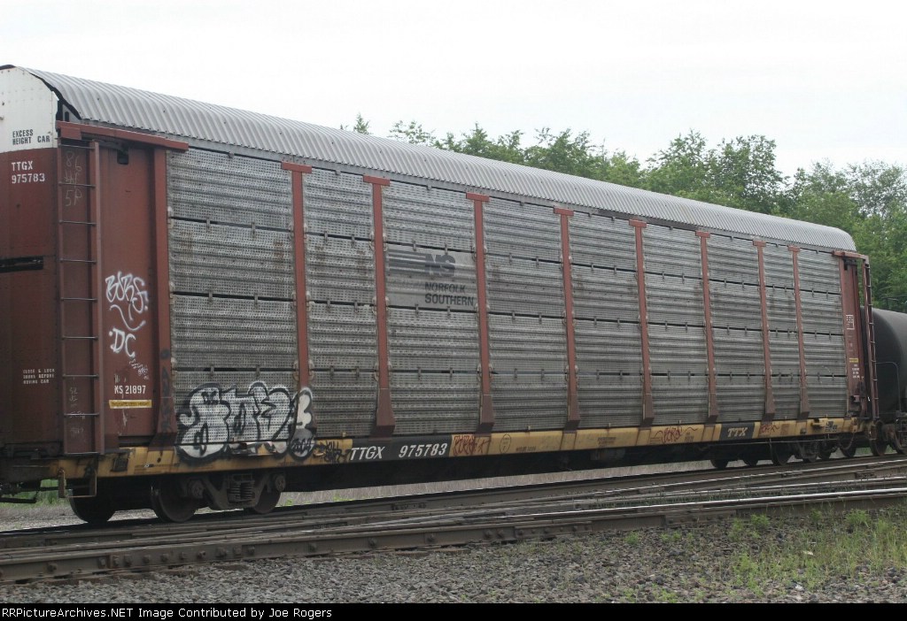 TTGX 975783
