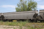 NS 293984