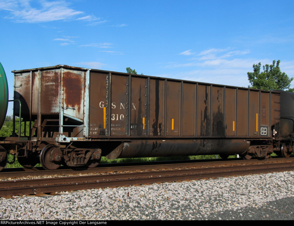 GSNX 310
