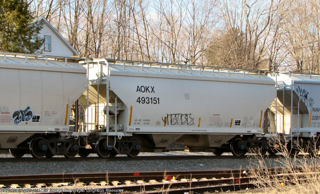 AOKX 493151