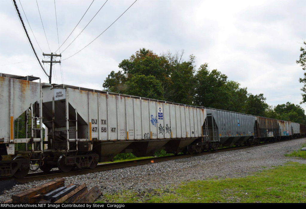 DJTX 475647