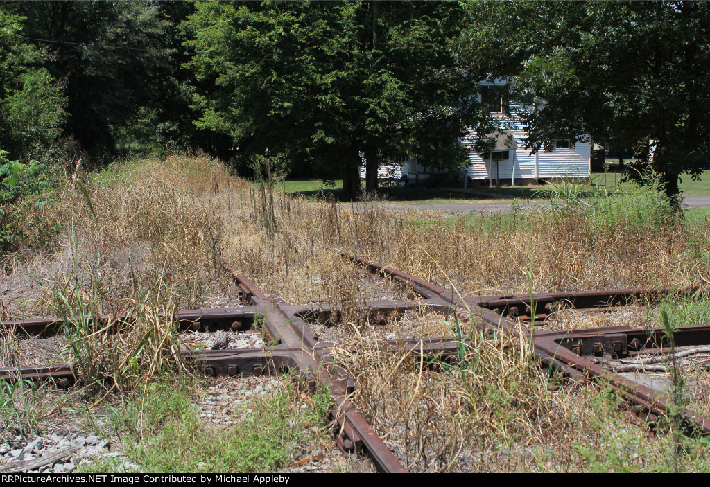 Diamond in the rough.