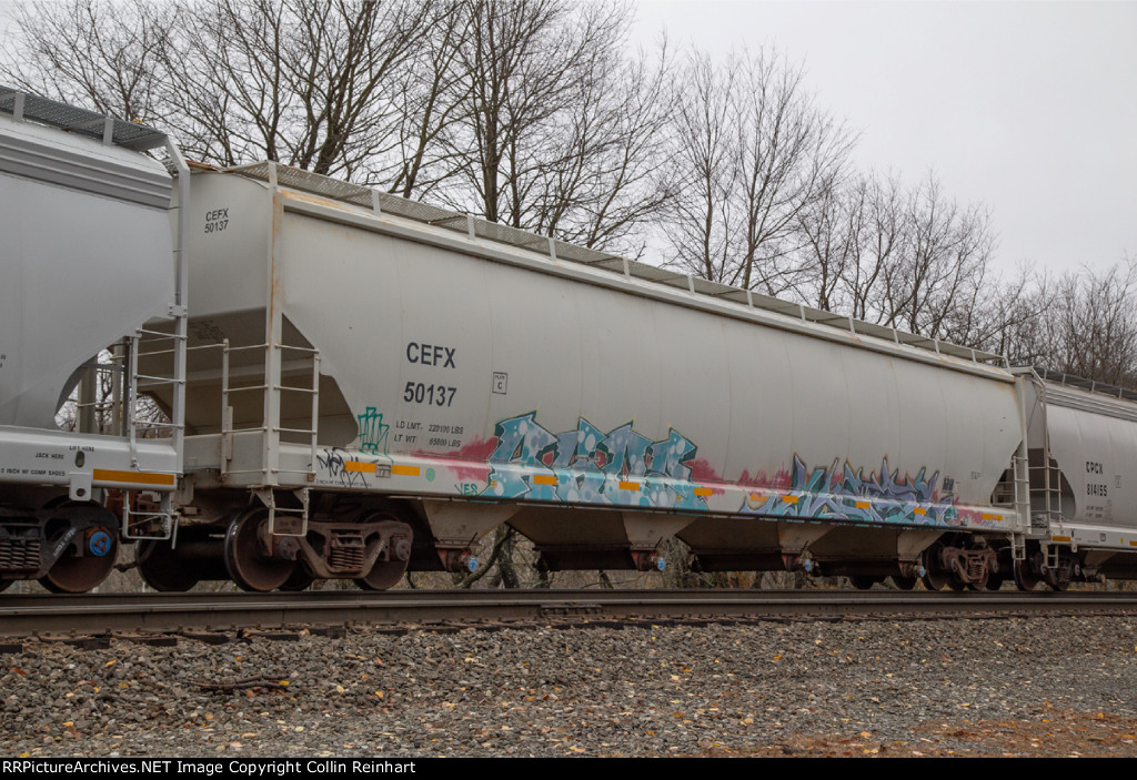 CEFX 50137