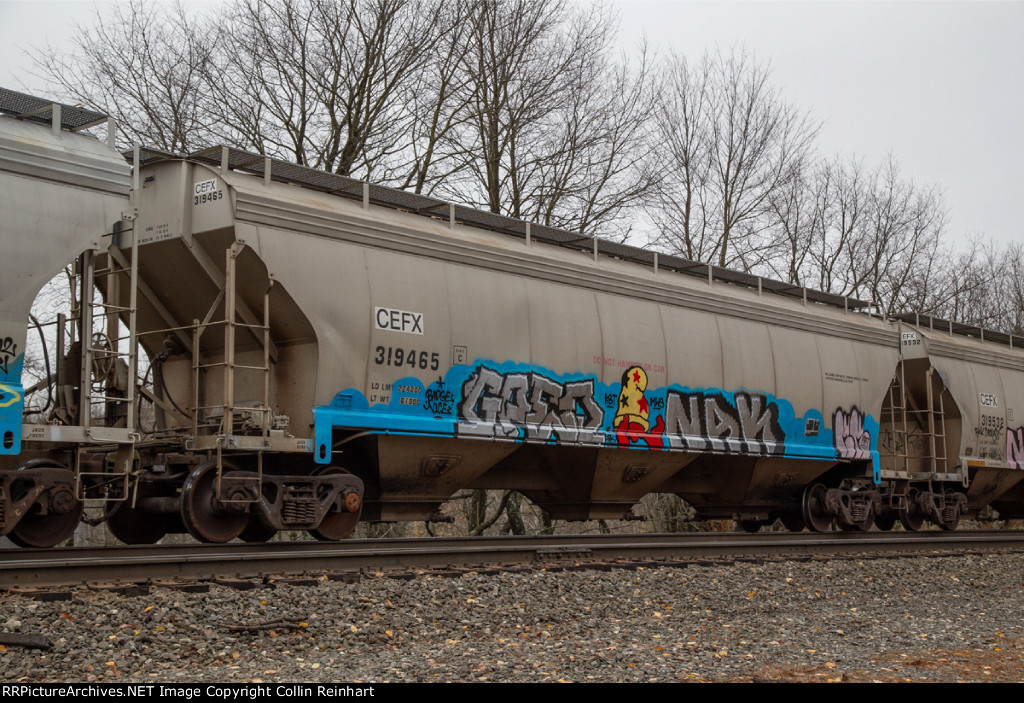 CEFX 319465