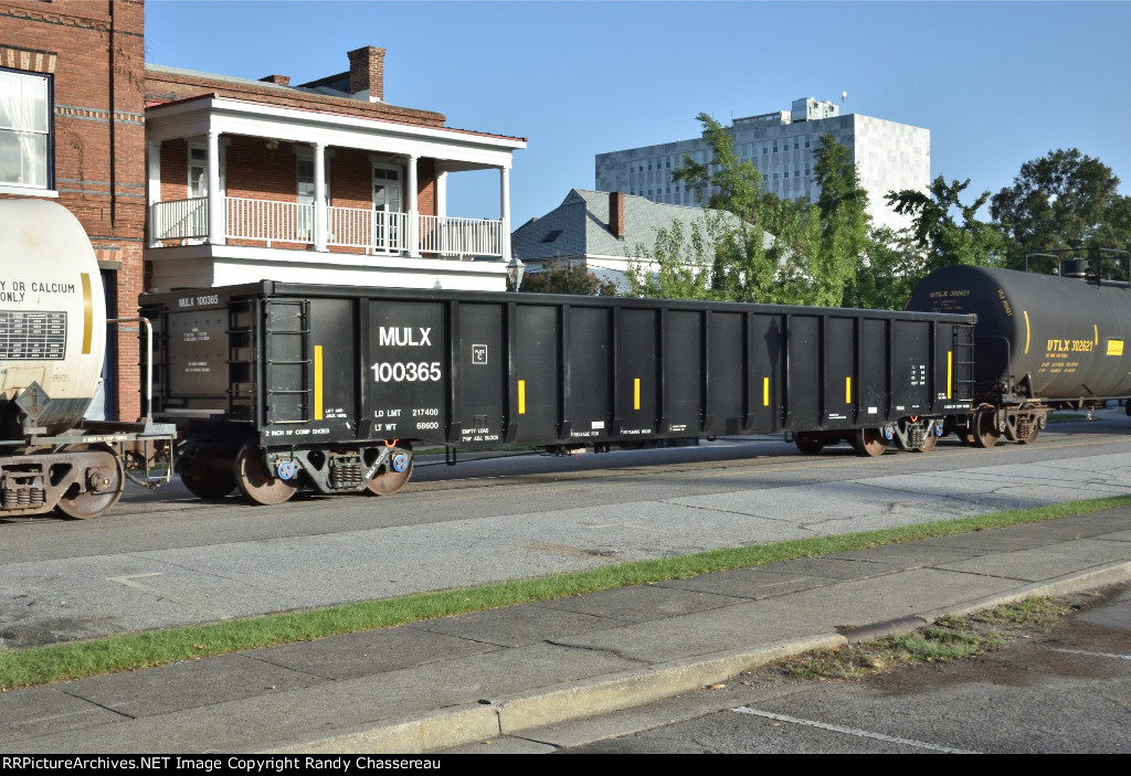 MULX 100365