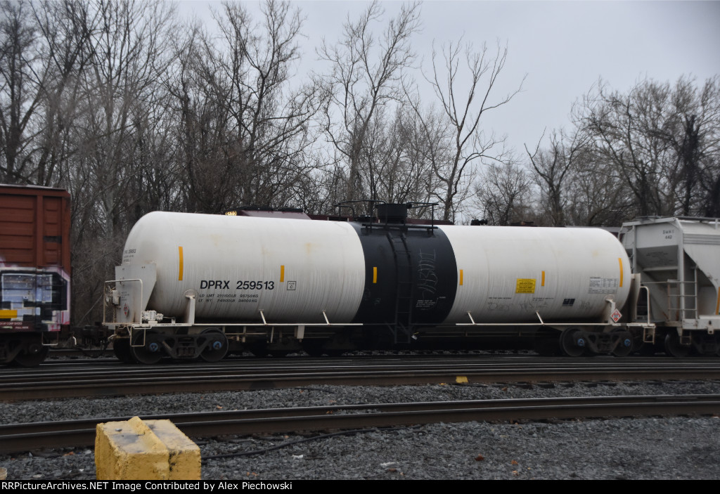 DPRX 259513