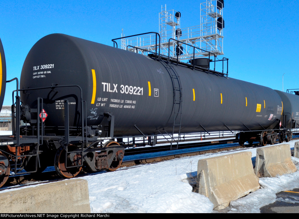 TILX 309221