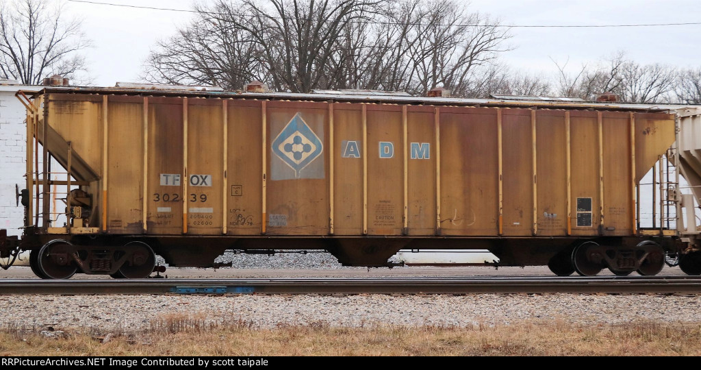 TFOX 30239 ADM Yellow Evans 4780