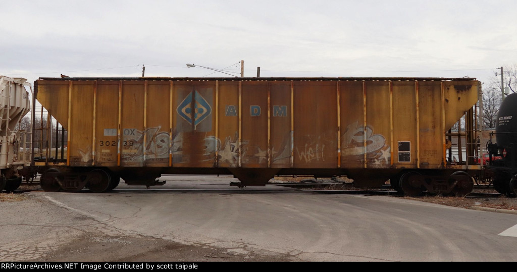 TFOX 30239 ADM Yellow Evans 4780