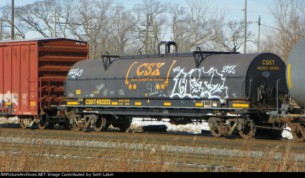 CSX 493202