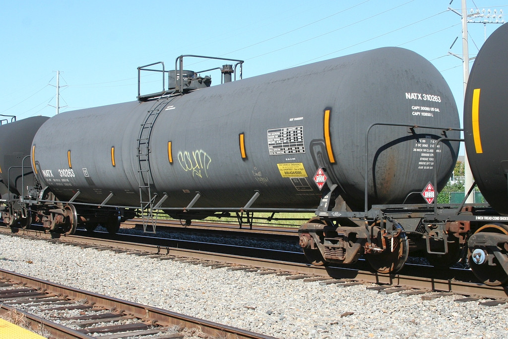 NATX 310263