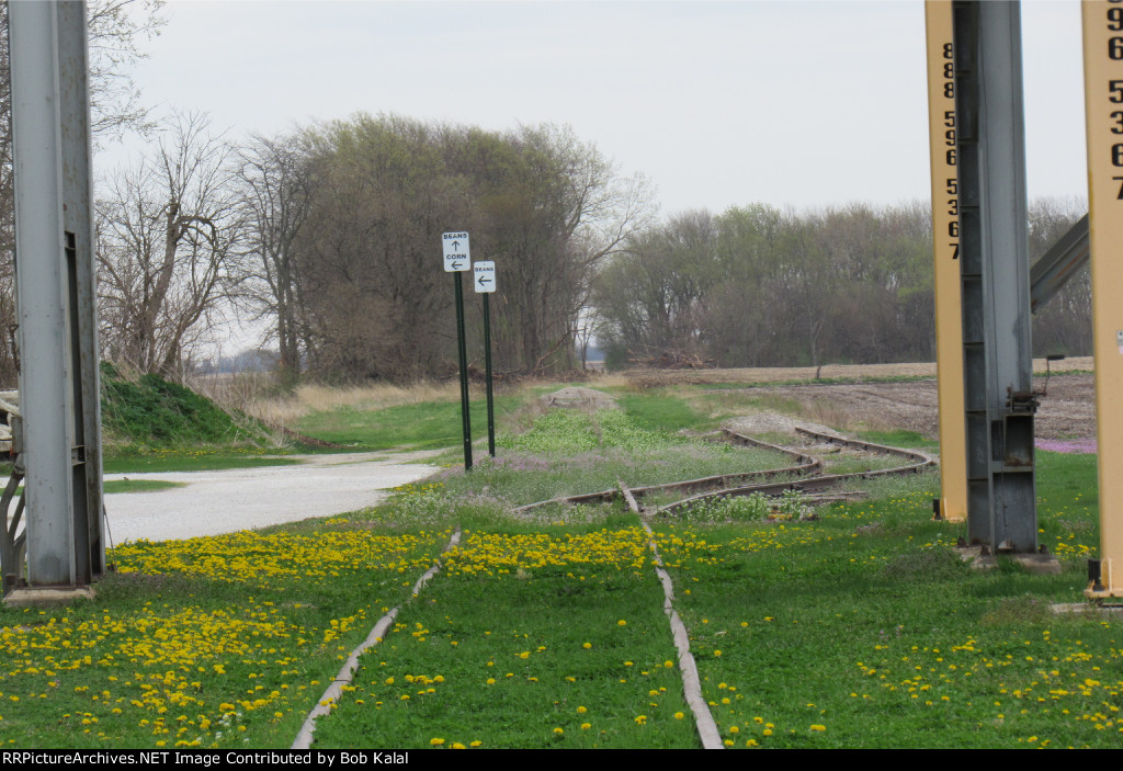 Goodwine Il. Grain Elevator