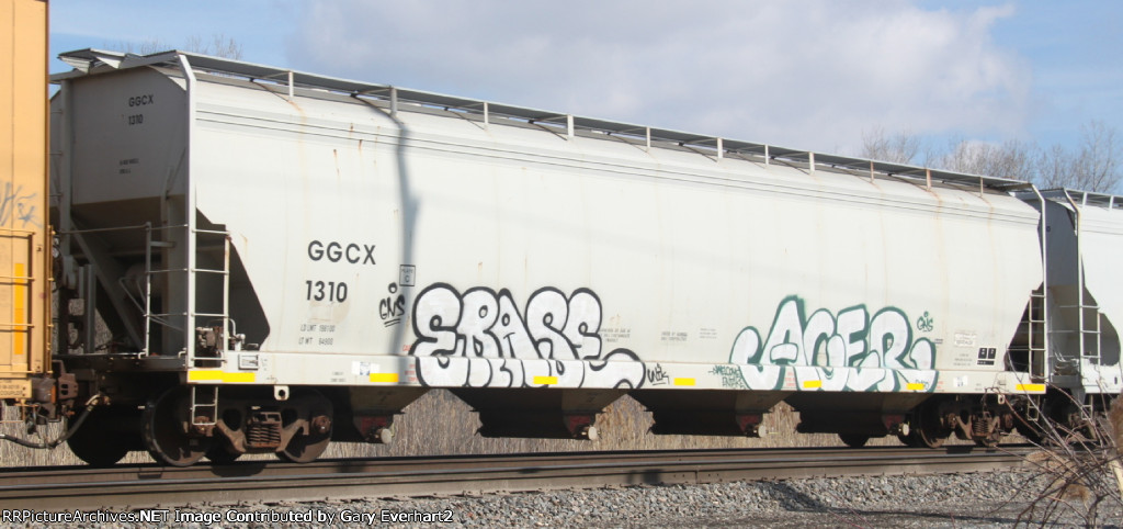 GGCX 1310 - Georgia Gulf Corp