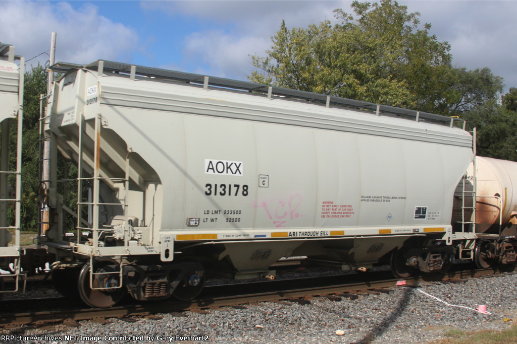 AOKX 313178 - Greenbrier Management Services