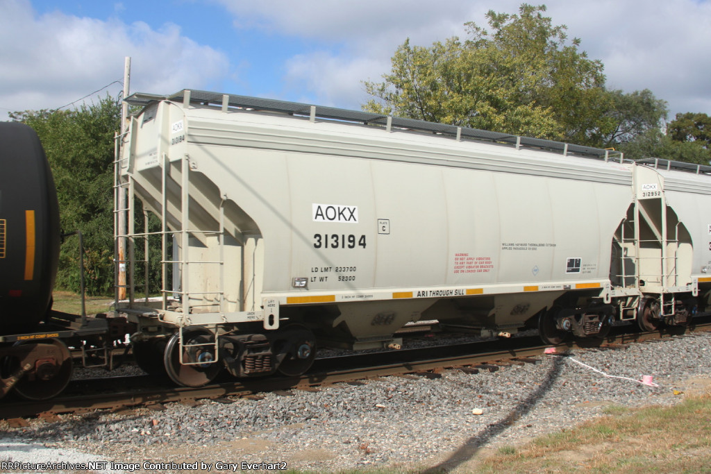 AOKX 313194 - Greenbrier Management Services