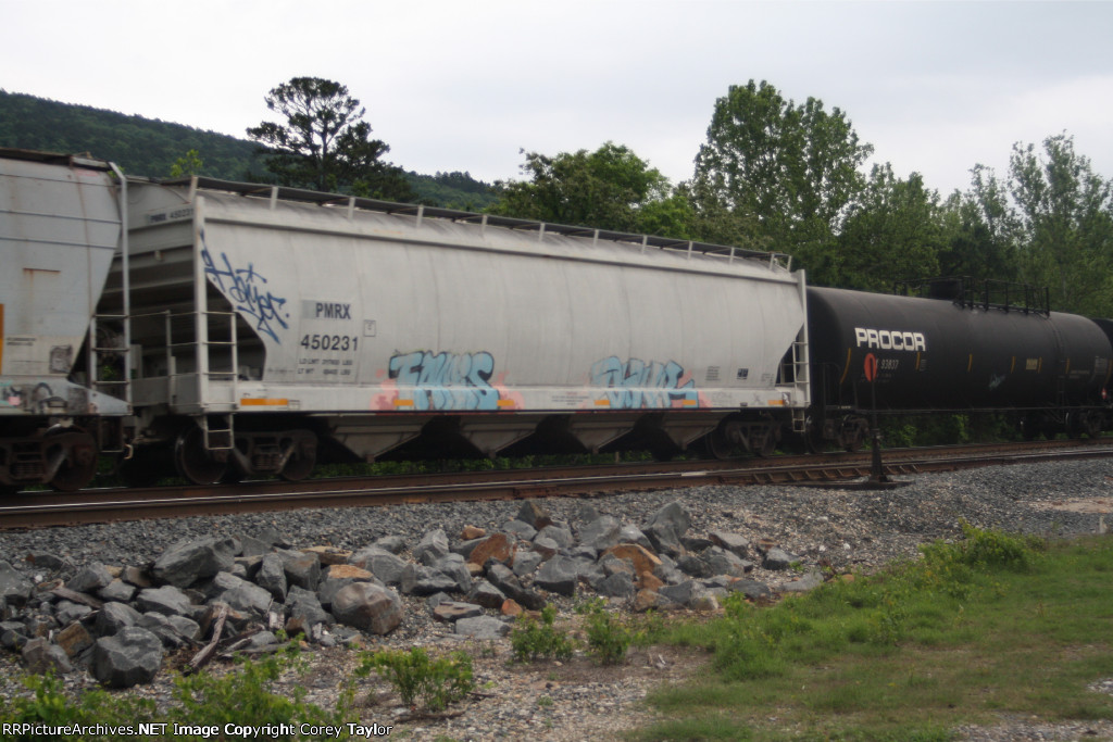 PMRX 450231