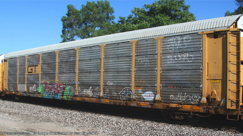 Vehicular Flat Graffiti - TTGX 255704