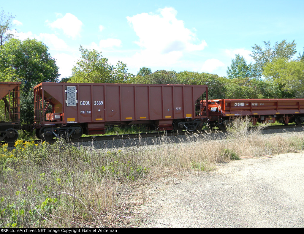 BCOL 2839