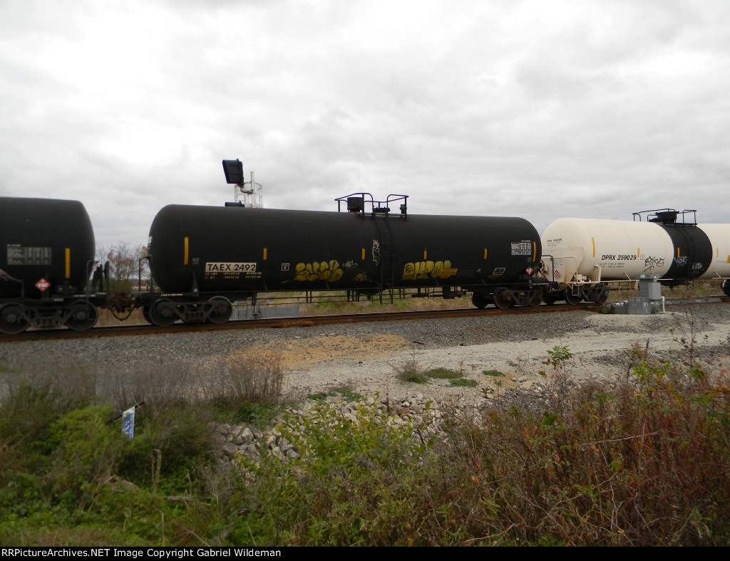 TAEX 2492