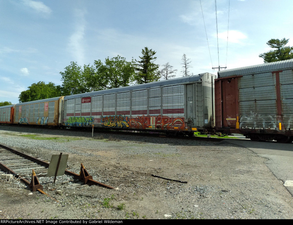 TTGX 707227