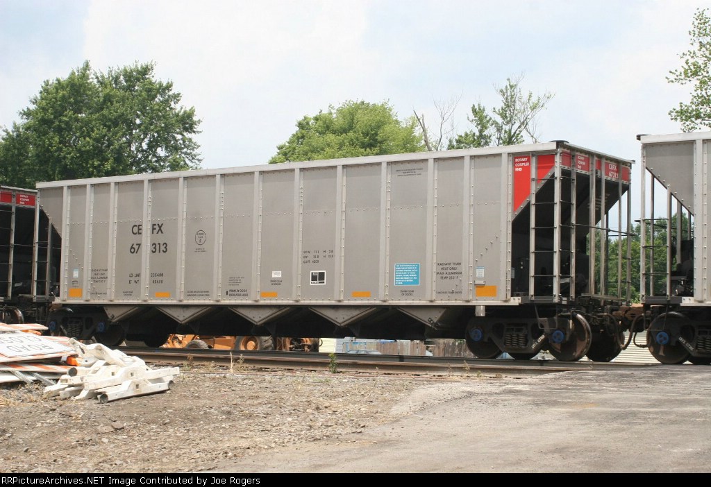 CEFX 67313