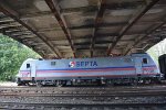 Septa
