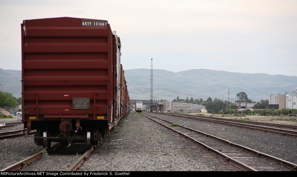 BKTY 151667