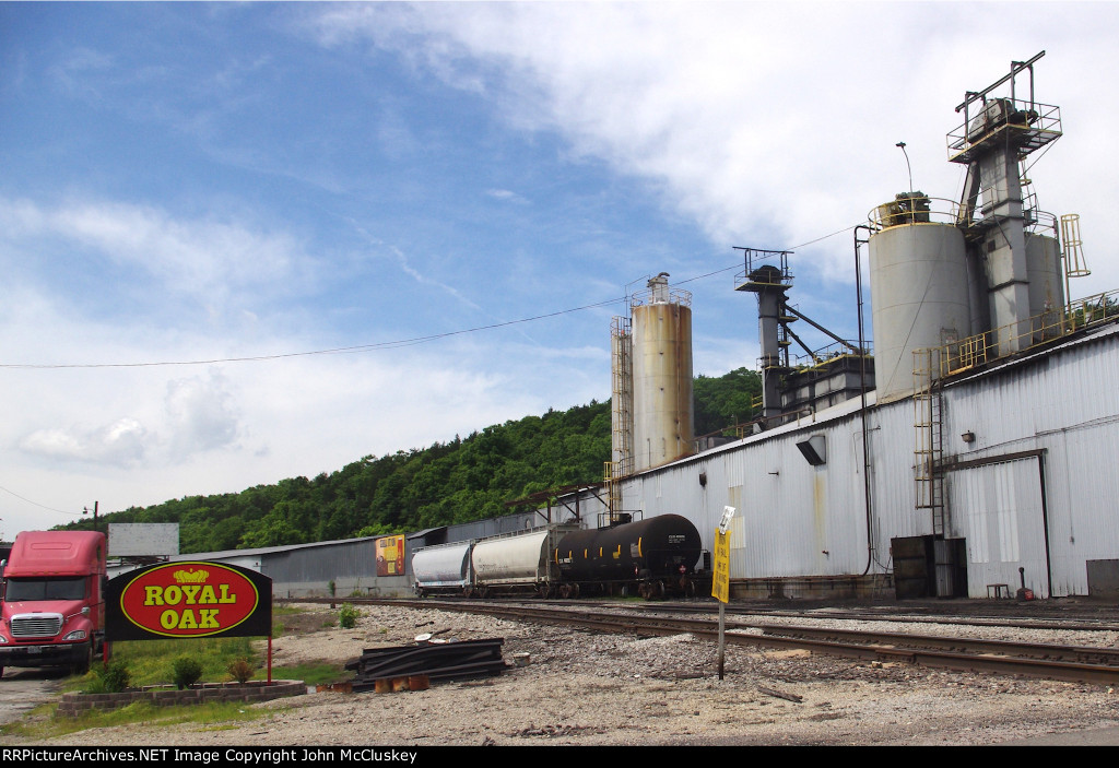North end of the plant